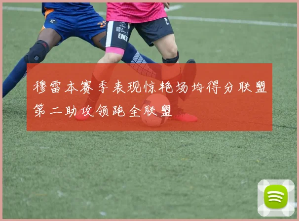 穆雷本赛季表现惊艳场均得分联盟第二助攻领跑全联盟